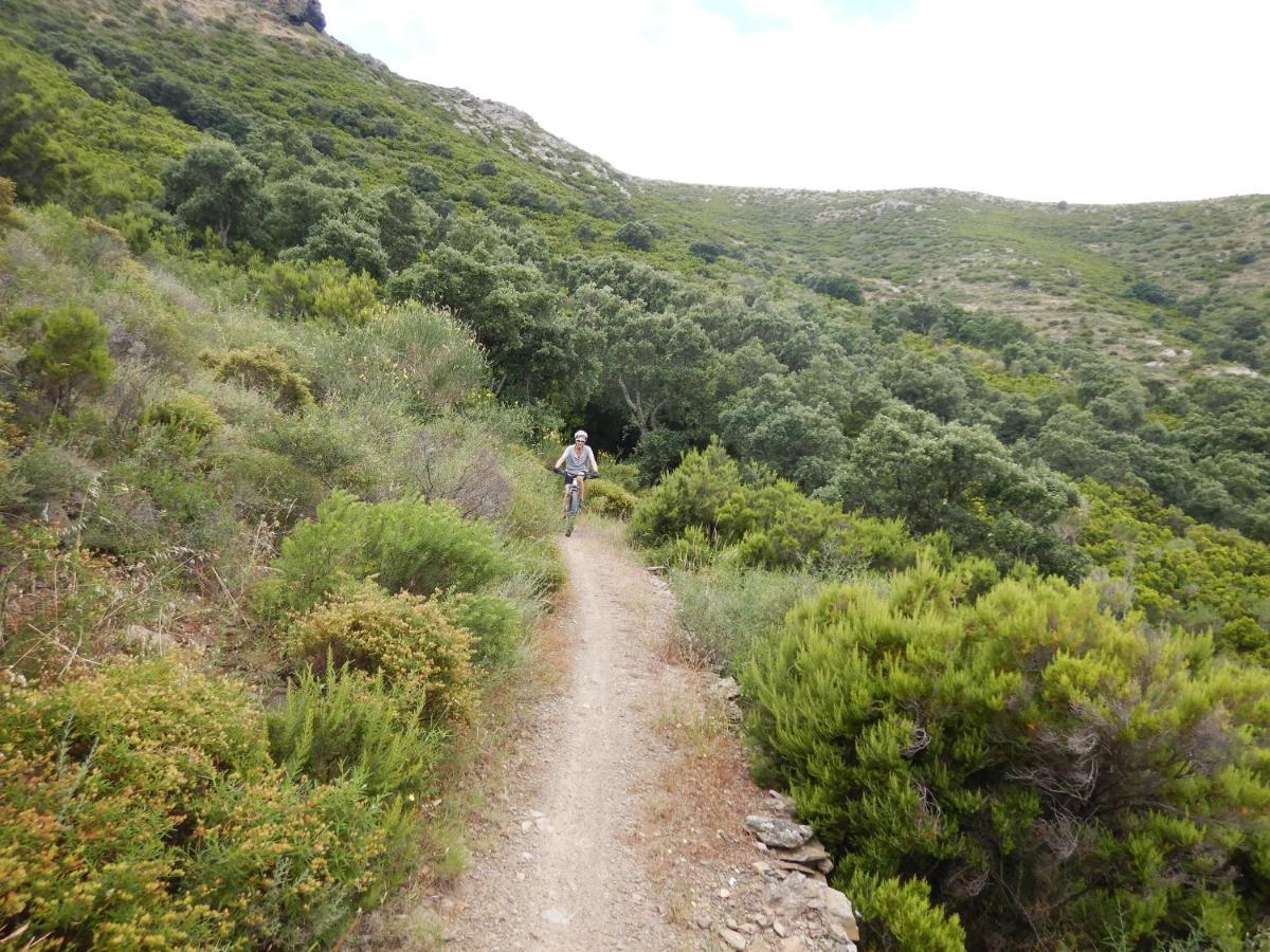 Llagut Daire L' Escala Dış mekan fotoğraf