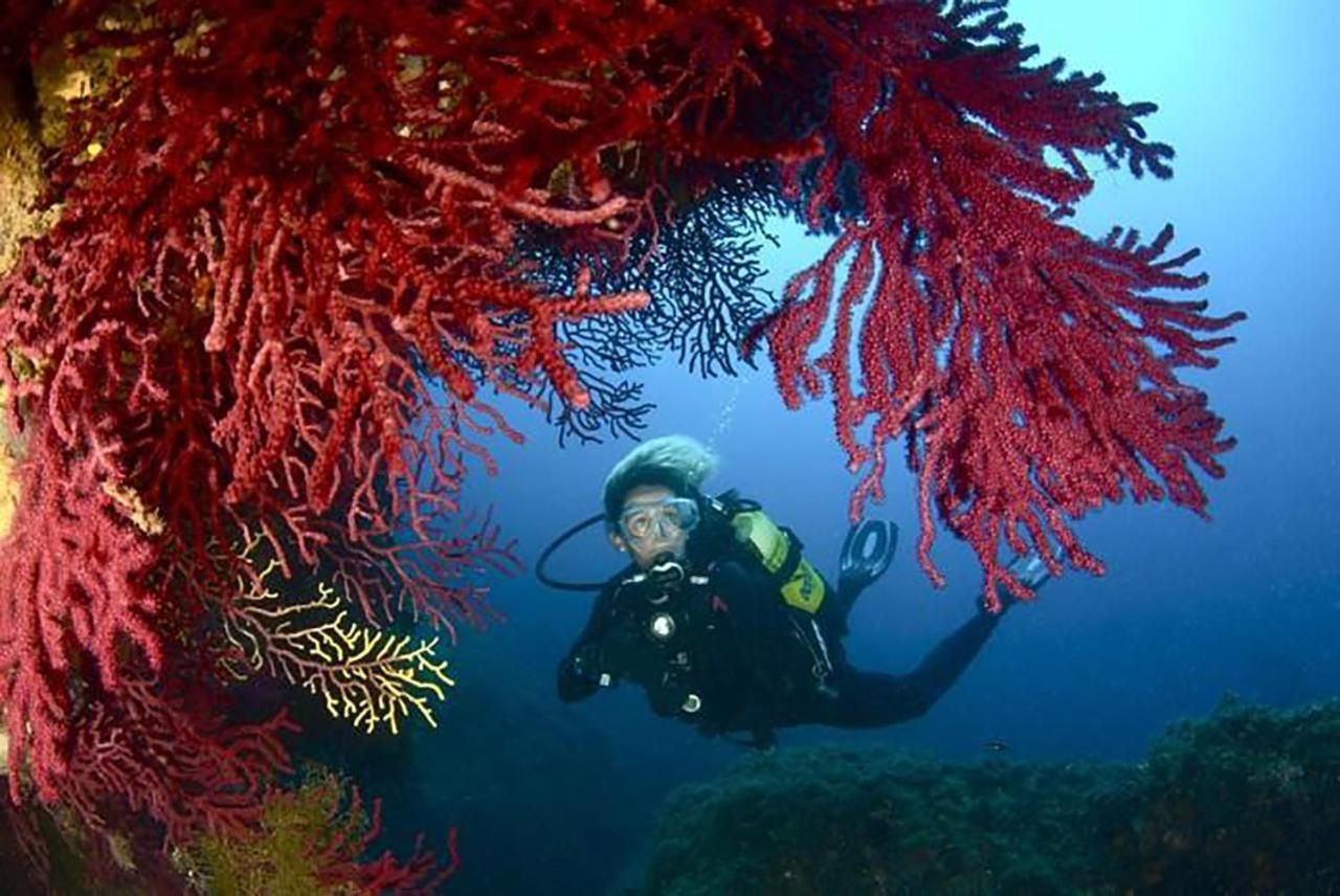 Llagut Daire L' Escala Dış mekan fotoğraf